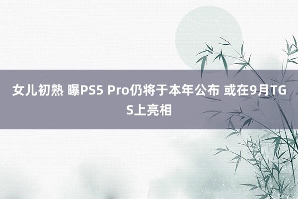 女儿初熟 曝PS5 Pro仍将于本年公布 或在9月TGS上亮相