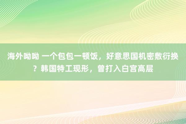 海外呦呦 一个包包一顿饭，好意思国机密敷衍换？韩国特工现形，曾打入白宫高层