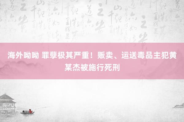 海外呦呦 罪孽极其严重！贩卖、运送毒品主犯黄某杰被施行死刑