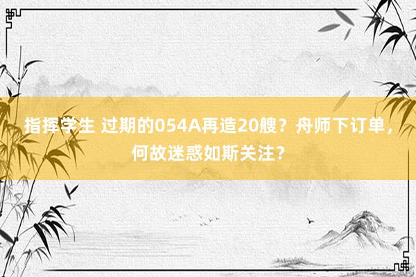 指挥学生 过期的054A再造20艘？舟师下订单，何故迷惑如斯关注？