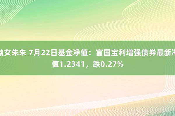 呦女朱朱 7月22日基金净值：富国宝利增强债券最新净值1.2341，跌0.27%