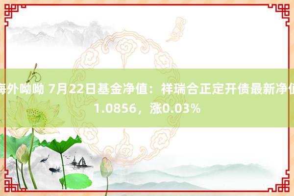 海外呦呦 7月22日基金净值：祥瑞合正定开债最新净值1.0856，涨0.03%