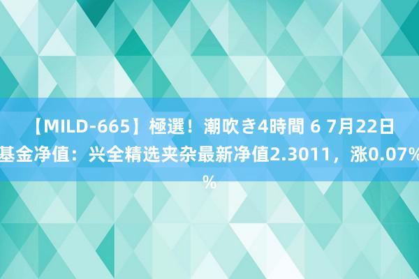 【MILD-665】極選！潮吹き4時間 6 7月22日基金净值：兴全精选夹杂最新净值2.3011，涨0.07%