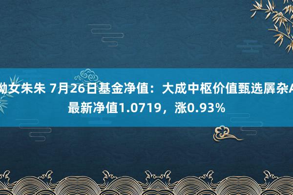 呦女朱朱 7月26日基金净值：大成中枢价值甄选羼杂A最新净值1.0719，涨0.93%