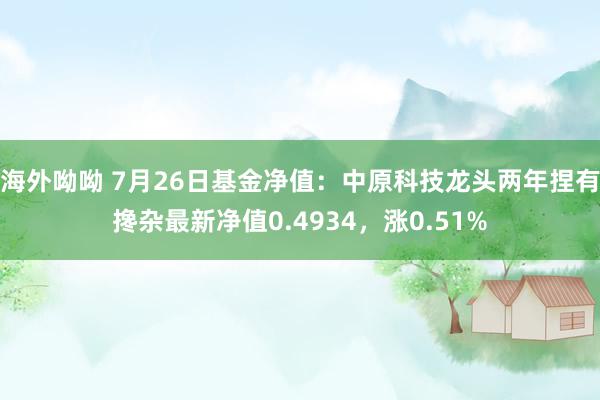 海外呦呦 7月26日基金净值：中原科技龙头两年捏有搀杂最新净值0.4934，涨0.51%