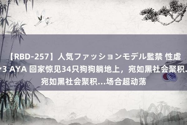 【RBD-257】人気ファッションモデル監禁 性虐コレクション3 AYA 回家惊见34只狗狗躺地上，宛如黑社会聚积...场合超动荡