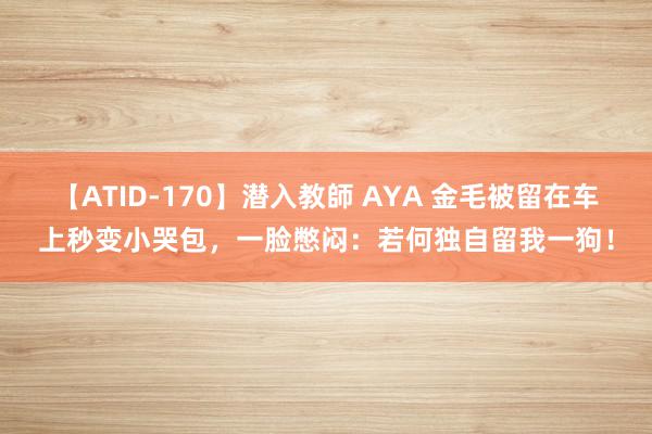 【ATID-170】潜入教師 AYA 金毛被留在车上秒变小哭包，一脸憋闷：若何独自留我一狗！