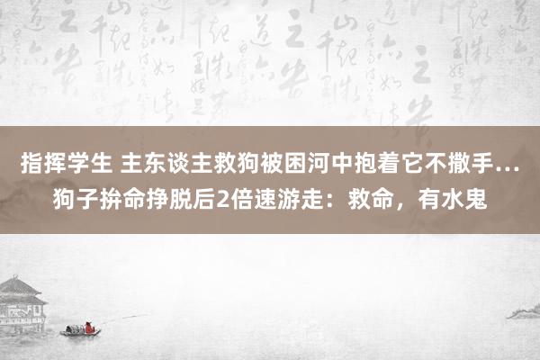 指挥学生 主东谈主救狗被困河中抱着它不撒手…狗子拚命挣脱后2倍速游走：救命，有水鬼