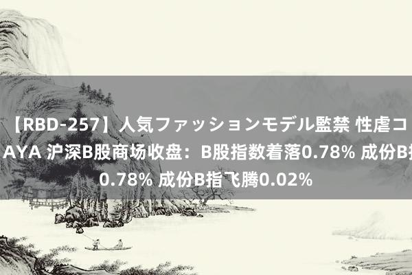 【RBD-257】人気ファッションモデル監禁 性虐コレクション3 AYA 沪深B股商场收盘：B股指数着落0.78% 成份B指飞腾0.02%