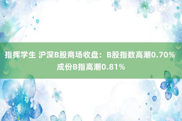 指挥学生 沪深B股商场收盘：B股指数高潮0.70% 成份B指高潮0.81%