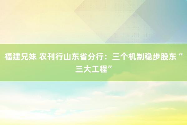 福建兄妹 农刊行山东省分行：三个机制稳步股东“三大工程”