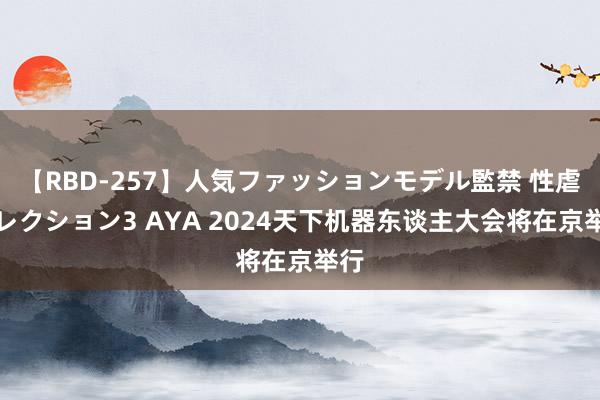 【RBD-257】人気ファッションモデル監禁 性虐コレクション3 AYA 2024天下机器东谈主大会将在京举行