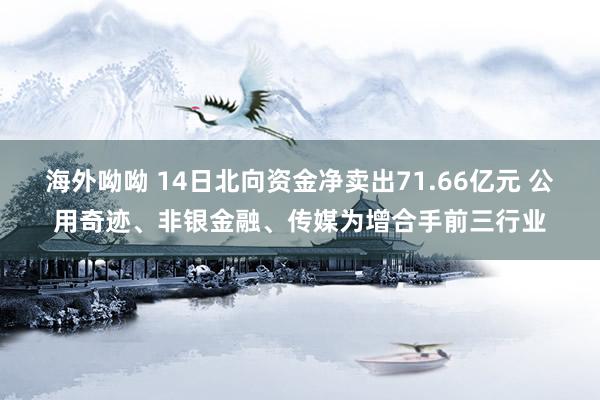 海外呦呦 14日北向资金净卖出71.66亿元 公用奇迹、非银金融、传媒为增合手前三行业