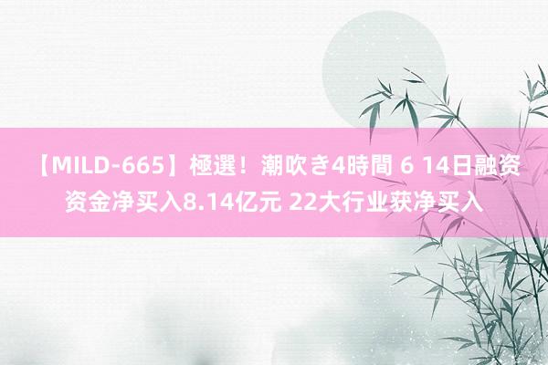 【MILD-665】極選！潮吹き4時間 6 14日融资资金净买入8.14亿元 22大行业获净买入