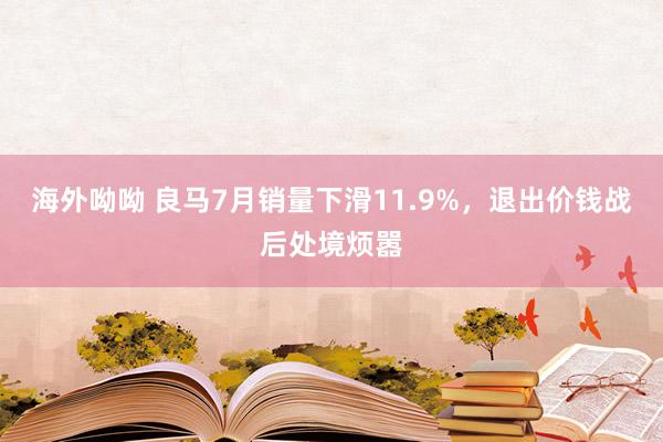 海外呦呦 良马7月销量下滑11.9%，退出价钱战后处境烦嚣