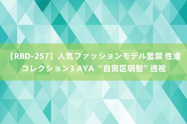 【RBD-257】人気ファッションモデル監禁 性虐コレクション3 AYA “自贸区明智”透视