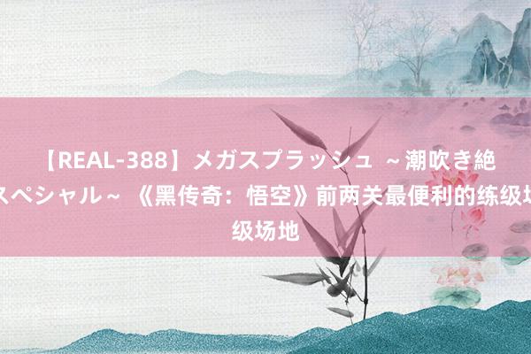 【REAL-388】メガスプラッシュ ～潮吹き絶頂スペシャル～ 《黑传奇：悟空》前两关最便利的练级场地