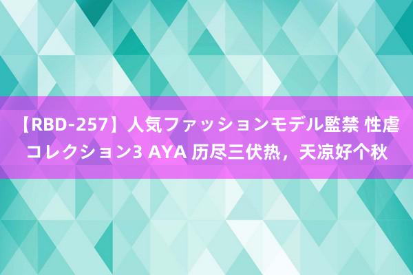 【RBD-257】人気ファッションモデル監禁 性虐コレクション3 AYA 历尽三伏热，天凉好个秋