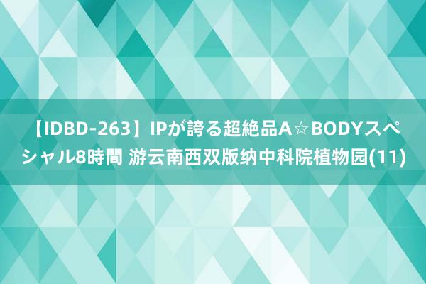 【IDBD-263】IPが誇る超絶品A☆BODYスペシャル8時間 游云南西双版纳中科院植物园(11)