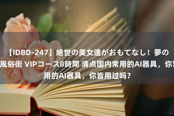 【IDBD-247】絶世の美女達がおもてなし！夢の桃源郷 IP風俗街 VIPコース8時間 清点国内常用的AI器具，你皆用过吗？