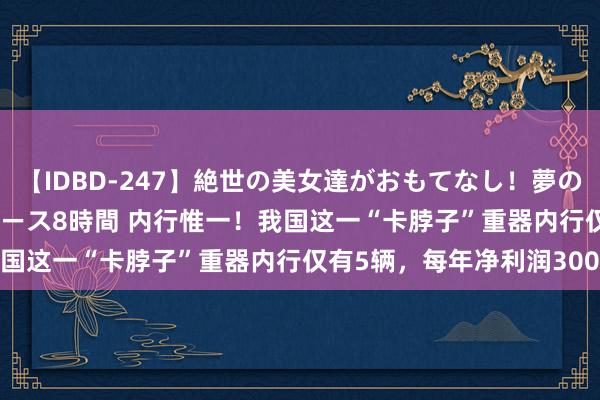 【IDBD-247】絶世の美女達がおもてなし！夢の桃源郷 IP風俗街 VIPコース8時間 内行惟一！我国这一“卡脖子”重器内行仅有5辆，每年净利润300亿